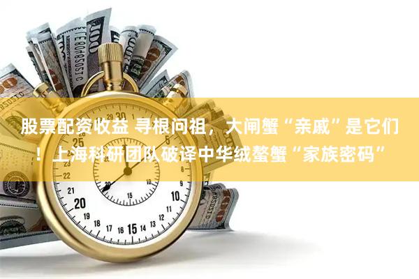 股票配资收益 寻根问祖，大闸蟹“亲戚”是它们！上海科研团队破译中华绒螯蟹“家族密码”